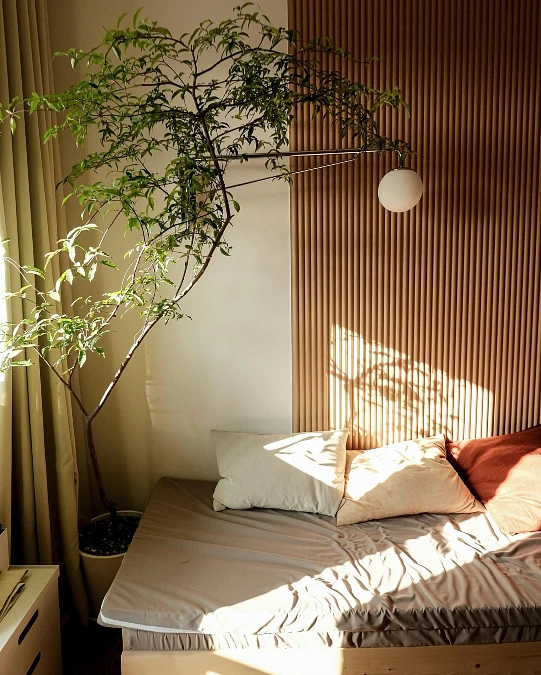 Sunlit Bed Nook With Indoor Tree