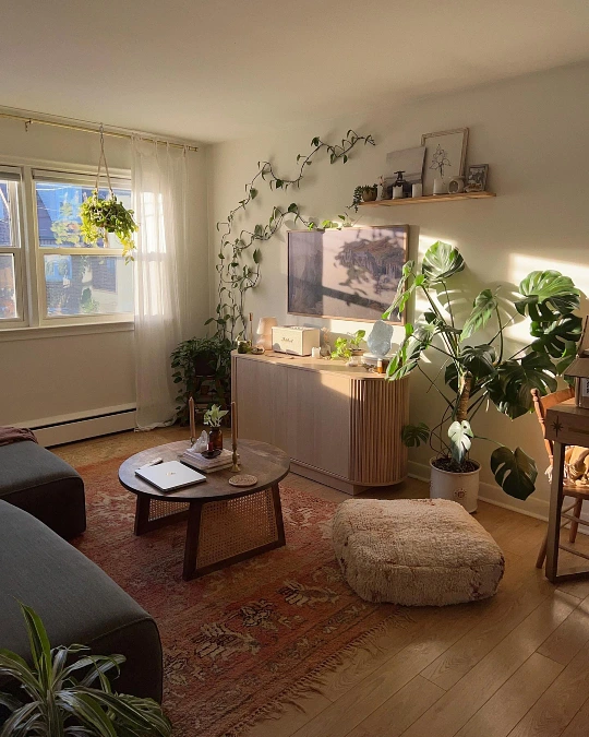 Sunlit Plant Corner with a Vintage Rust Area Rug